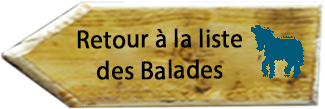 balade bleue retour liste