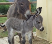 Frimousse et Tania