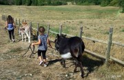 retourdebalade-2