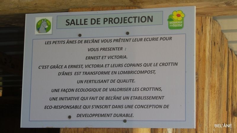 parcours-pedagogique6