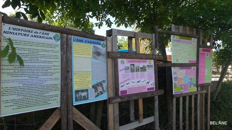 parcours-pedagogique9