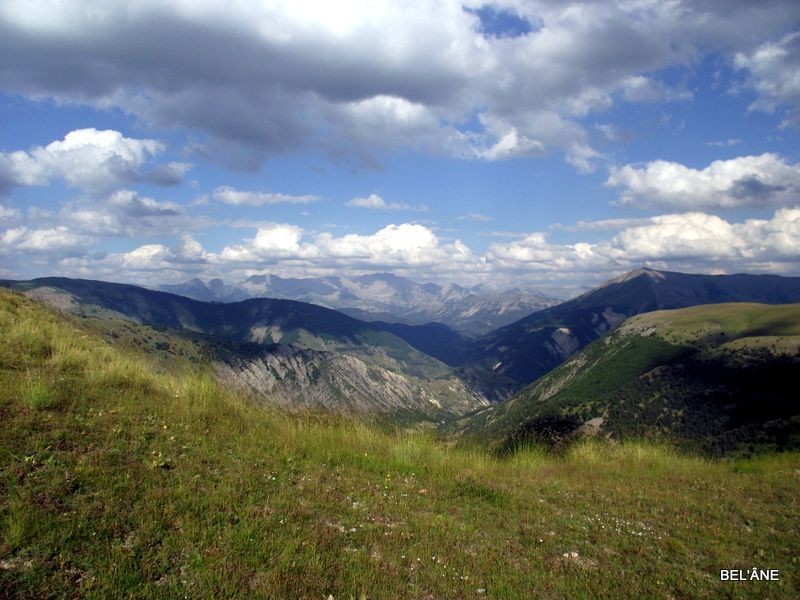 DSCF2881