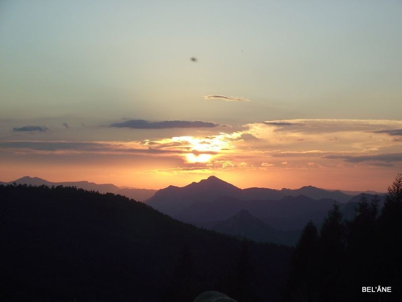 DSCF2935