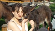 coline-9