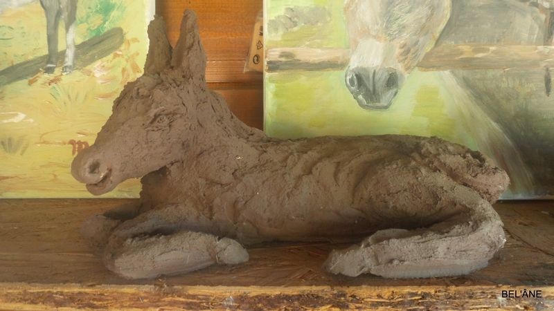 ane-couche-26cm