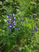 DSCN0264