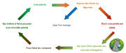 cycle-dechets-organiques