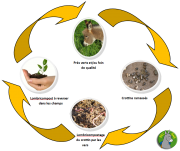 cycle-lombricompost