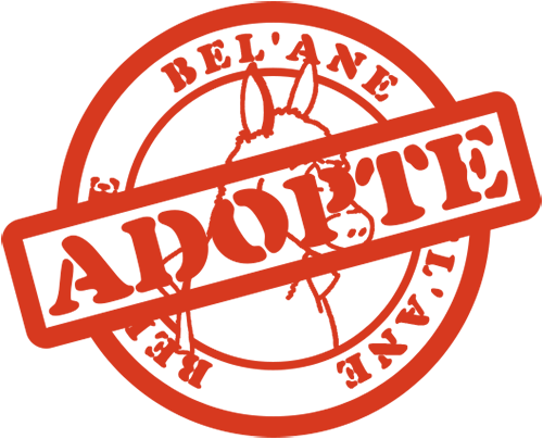 tampon adopte