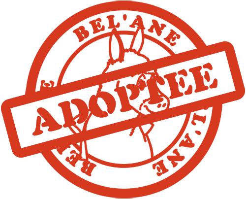 tampon adopte